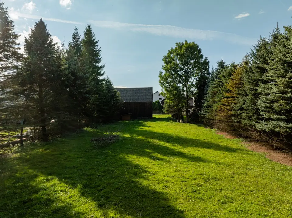 Zdjęcie 14