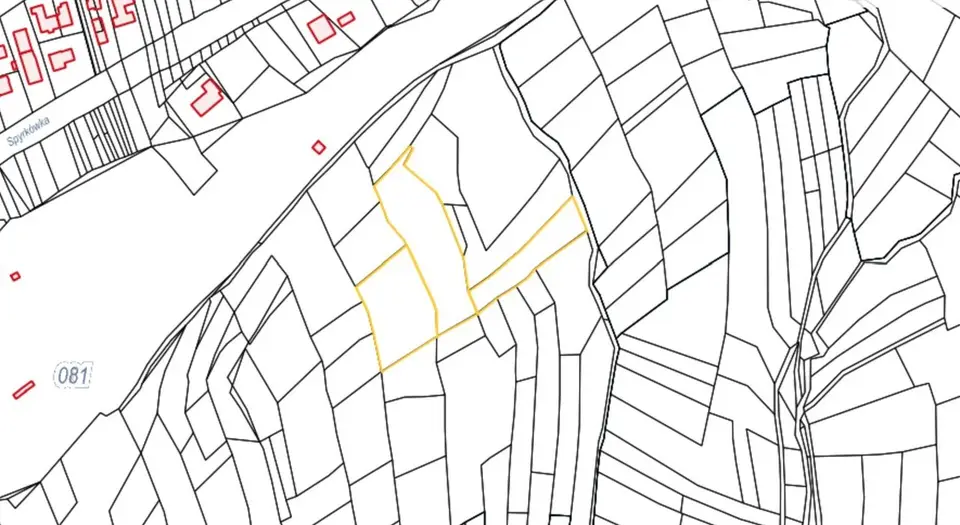 Zdjęcie 9