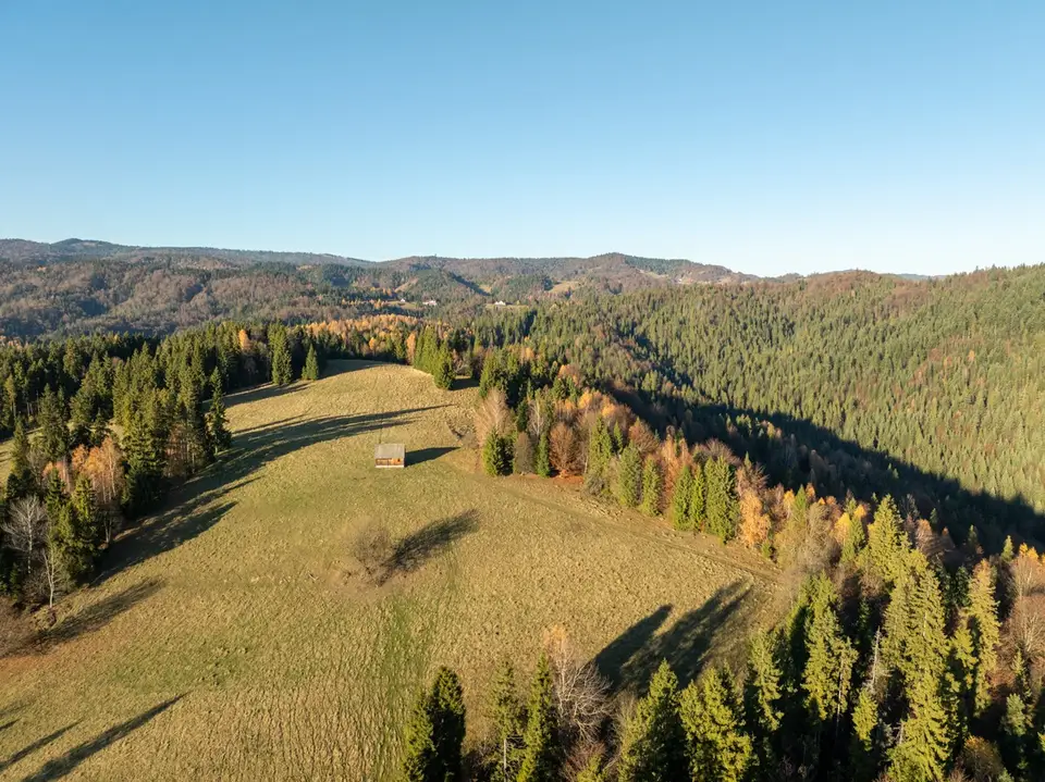 Zdjęcie 18