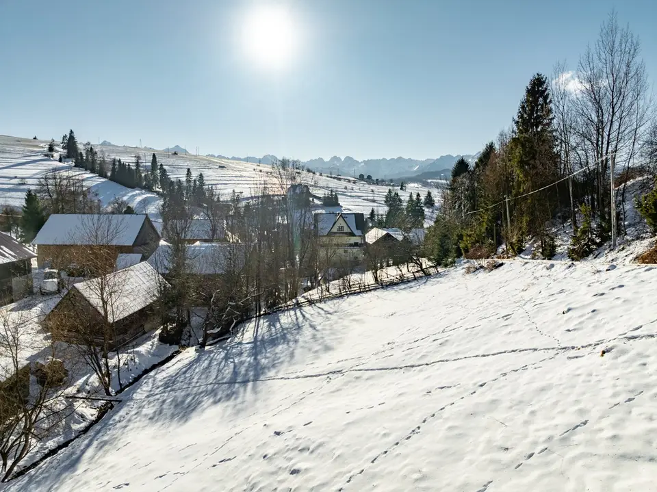 Zdjęcie 15
