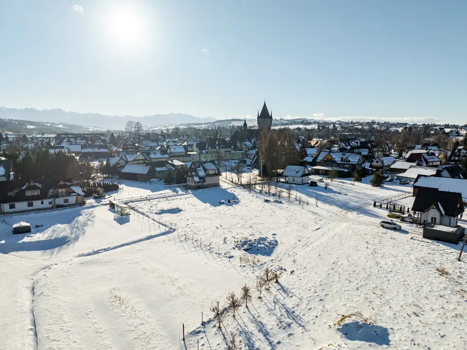 Zdjęcie 12
