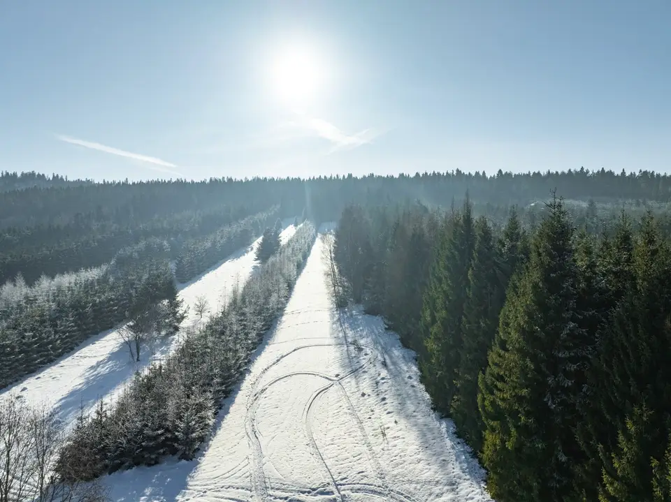 Zdjęcie 18