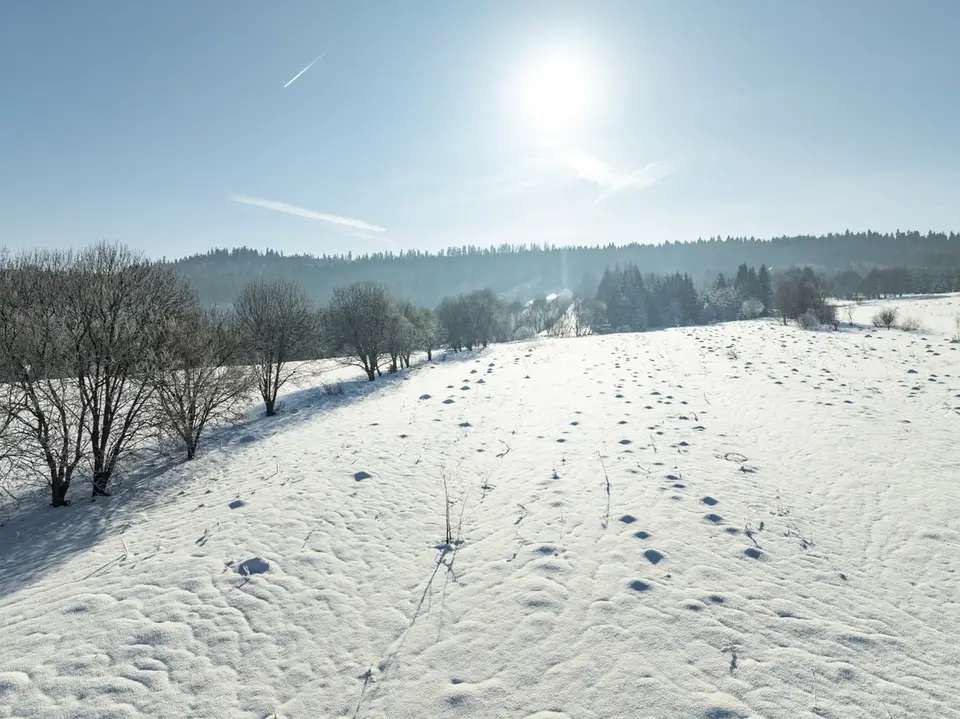 Zdjęcie 22