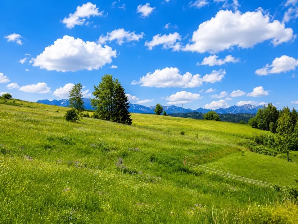 Działka budowlana 2 274 m², Rzepiska
