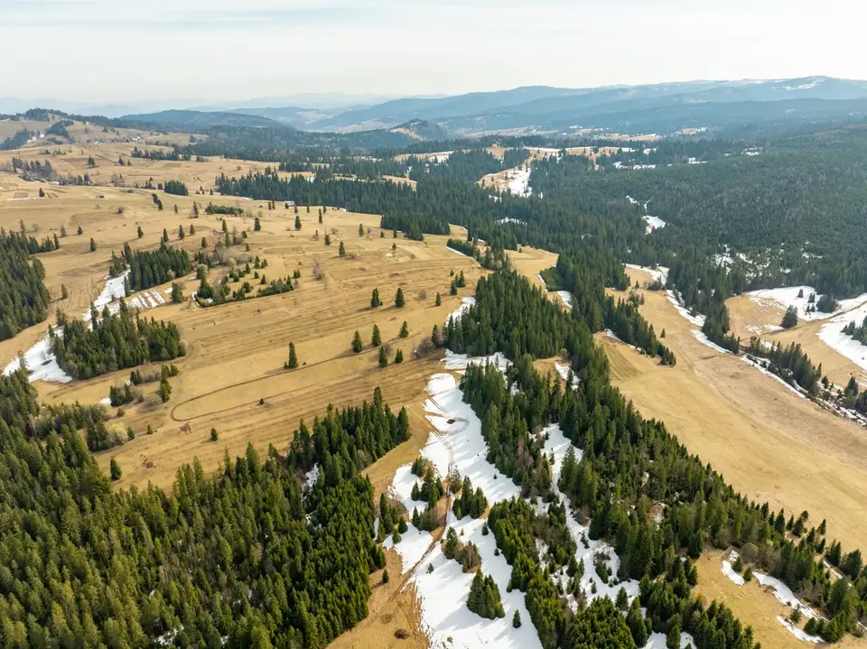 Zdjęcie 19