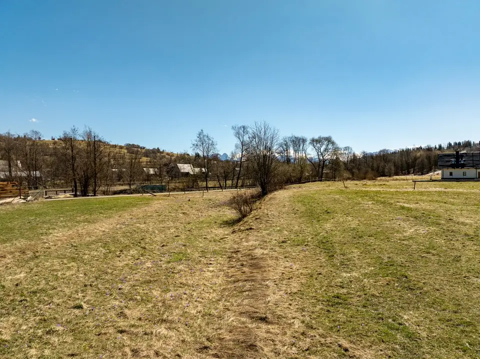 Zdjęcie 13