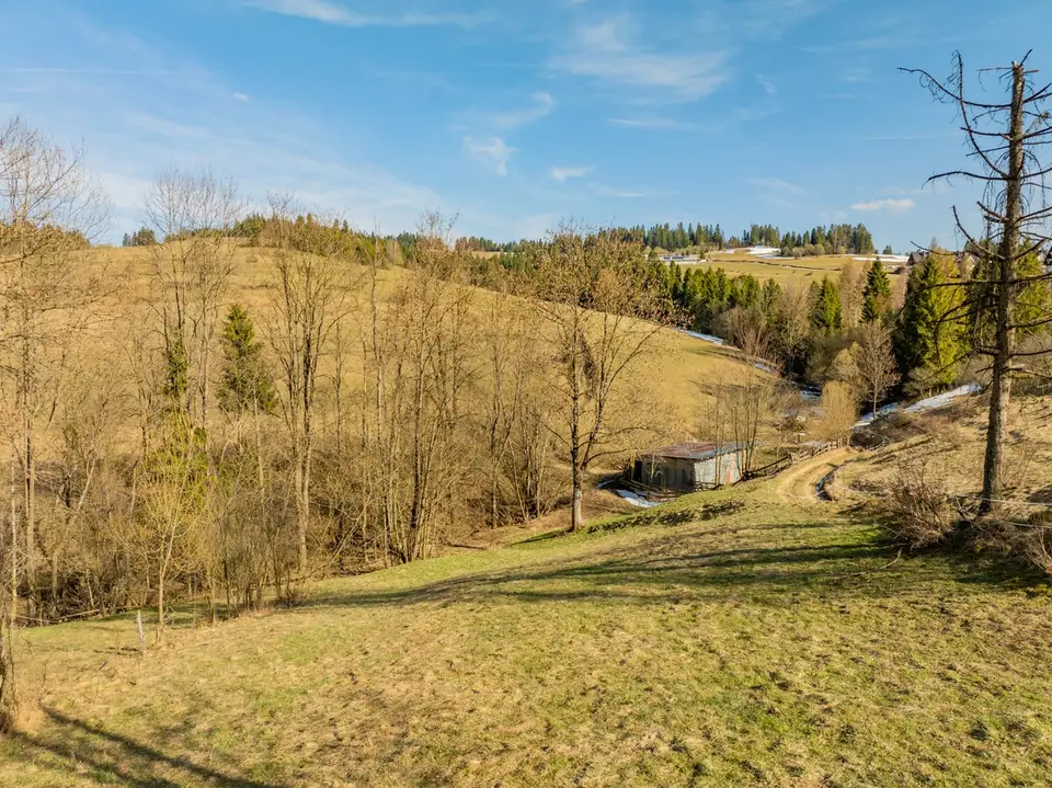 Zdjęcie 9