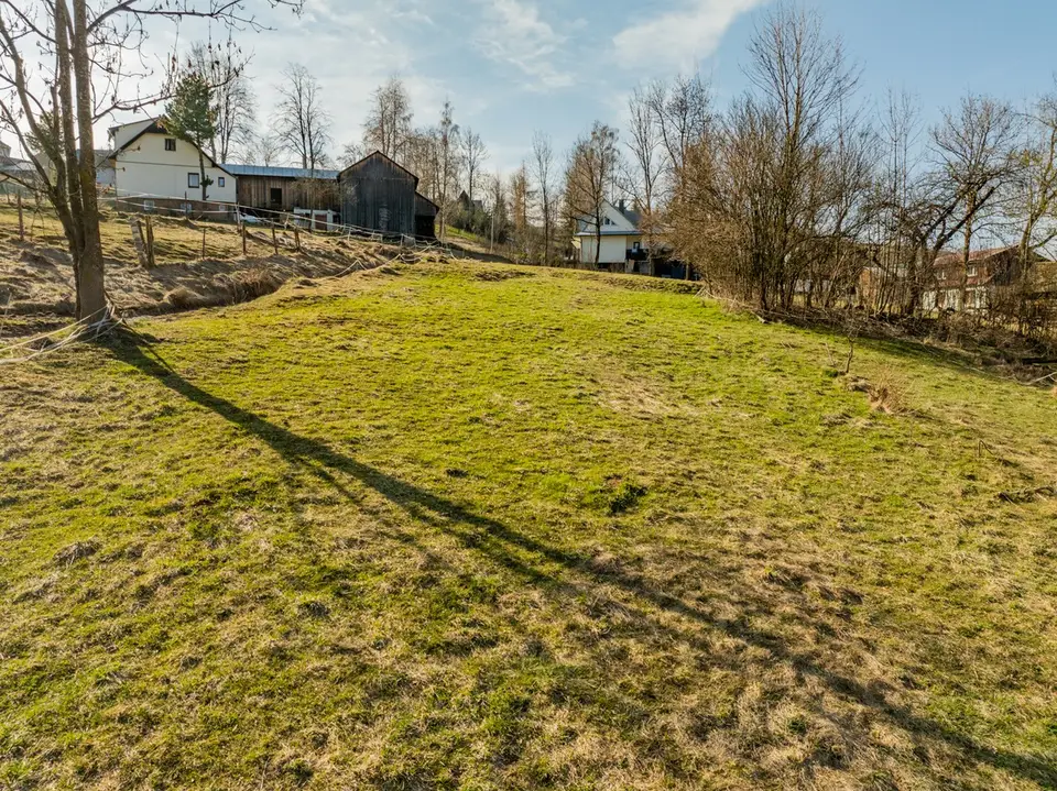 Zdjęcie 10