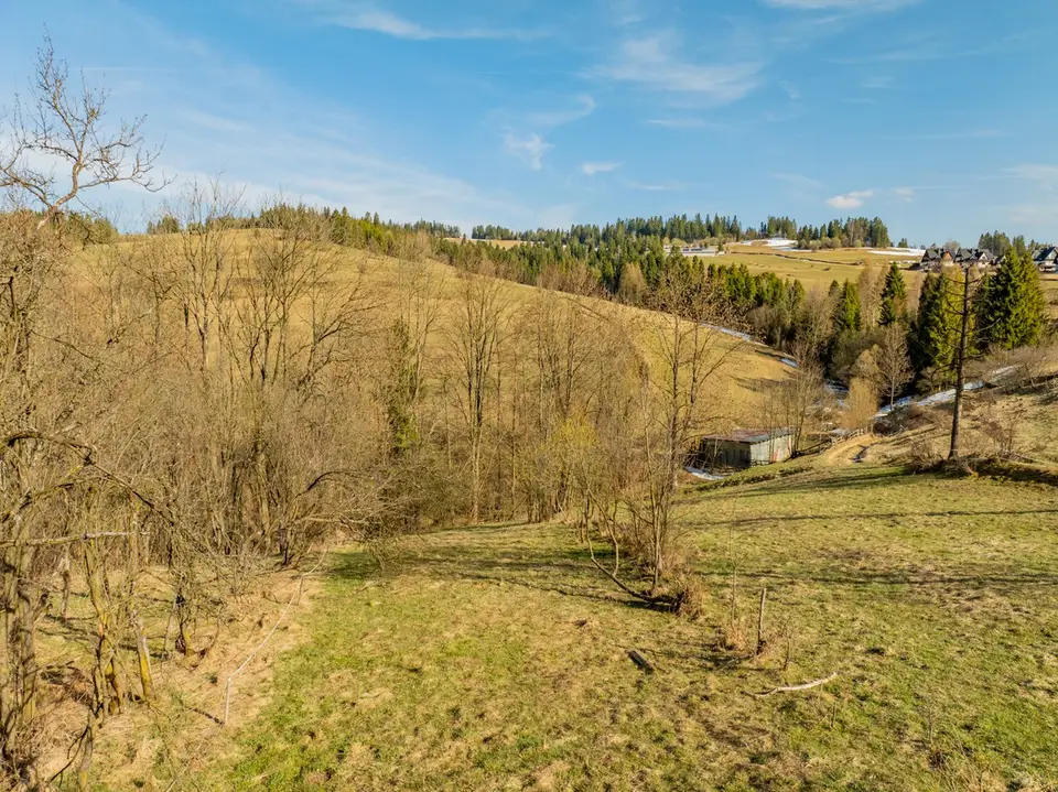 Zdjęcie 12