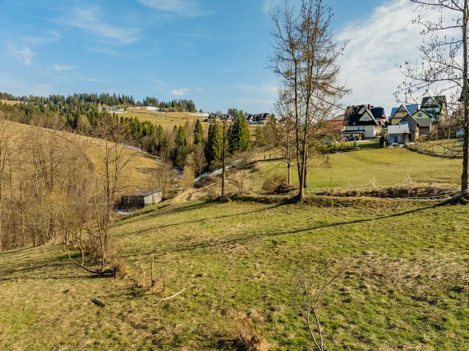 Zdjęcie 13