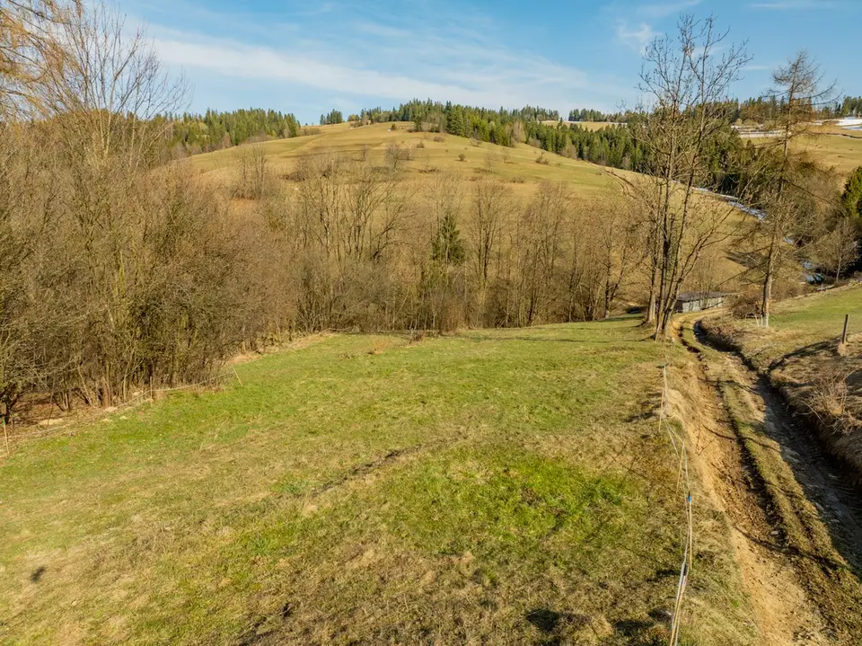 Zdjęcie 14