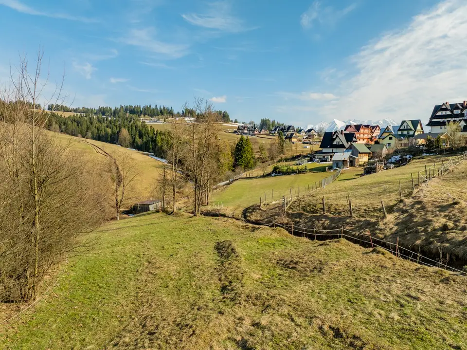 Zdjęcie 15