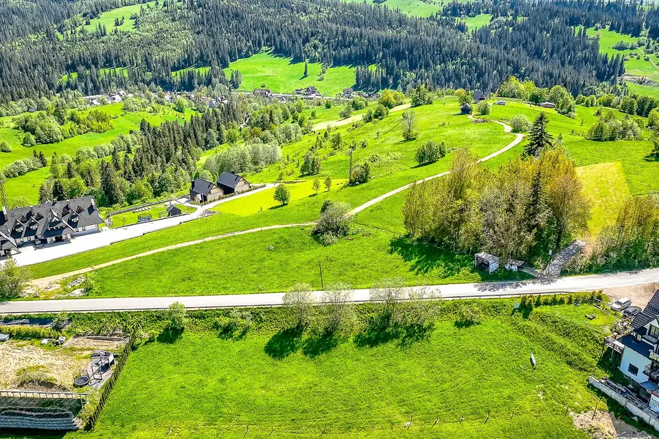 Zdjęcie 12