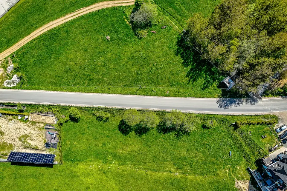 Zdjęcie 25