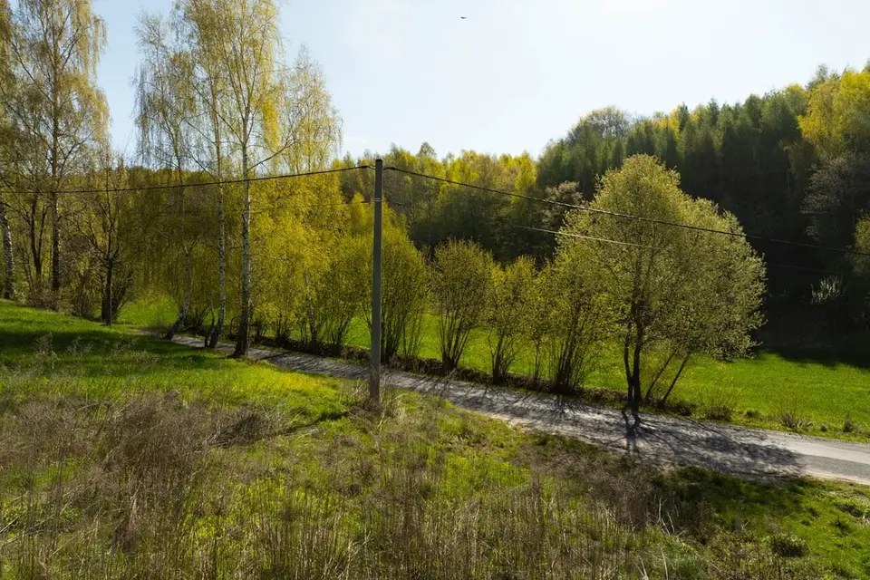 Zdjęcie 12