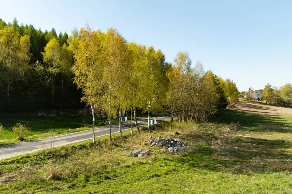 Zdjęcie 13