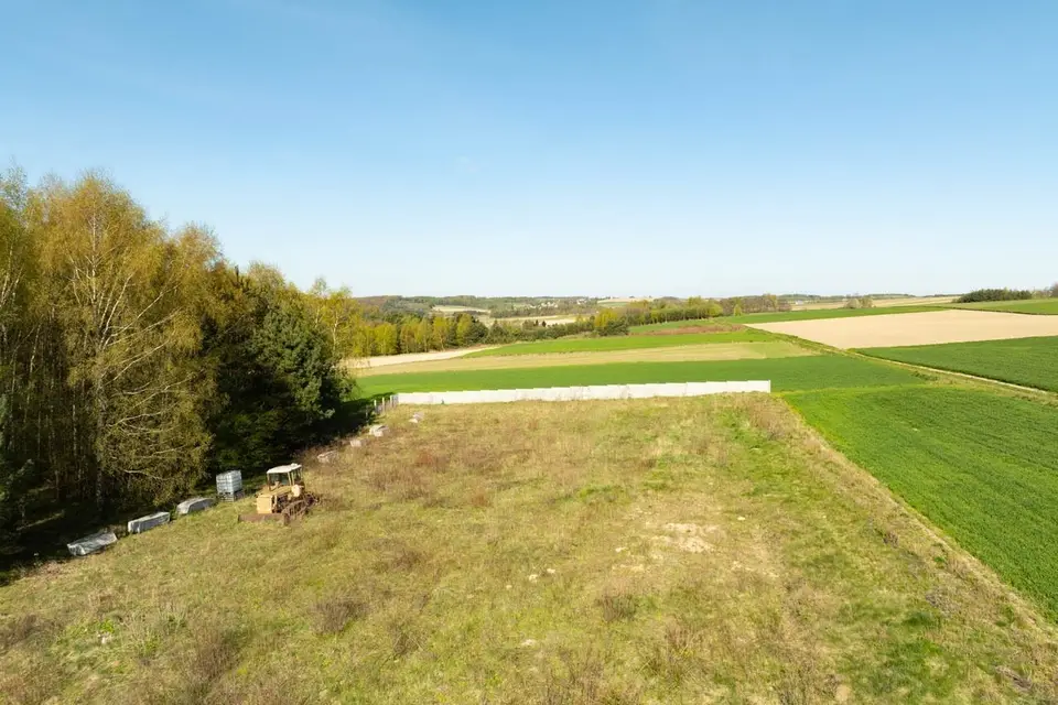 Zdjęcie 12