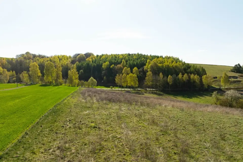 Zdjęcie 13