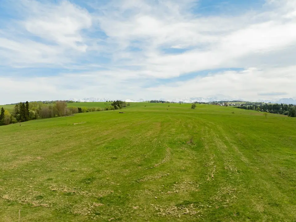 Zdjęcie 19