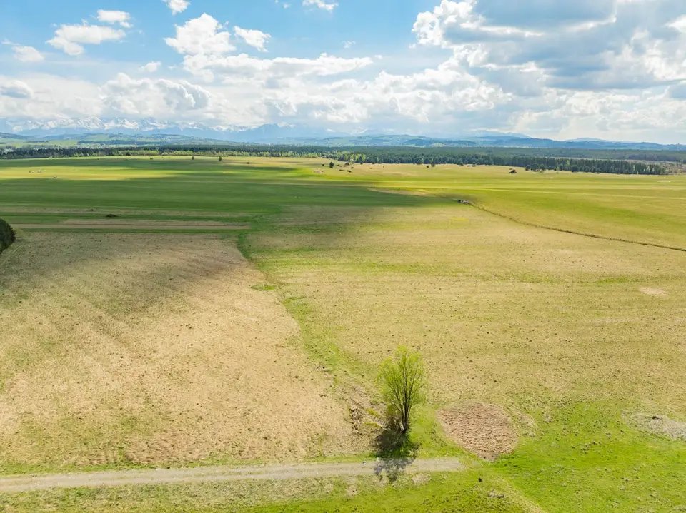 Zdjęcie 11