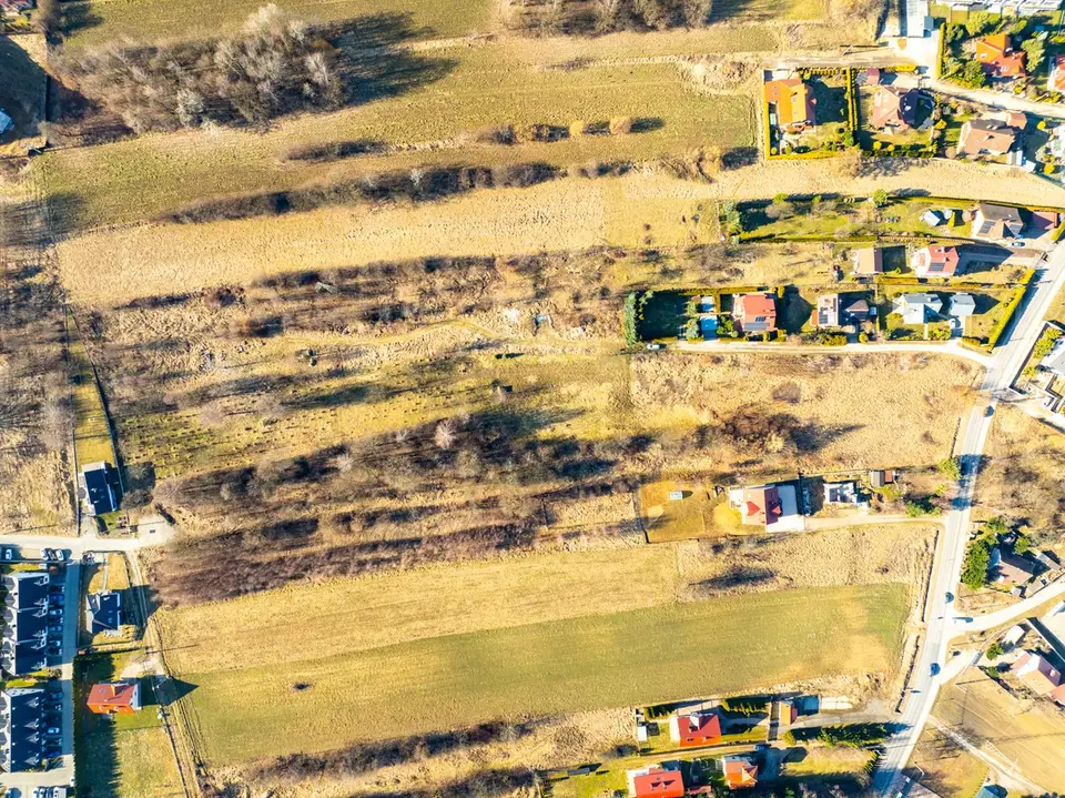 Zdjęcie 10