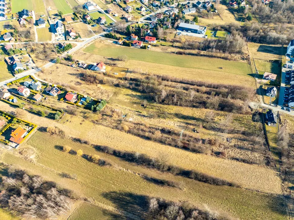 Zdjęcie 14