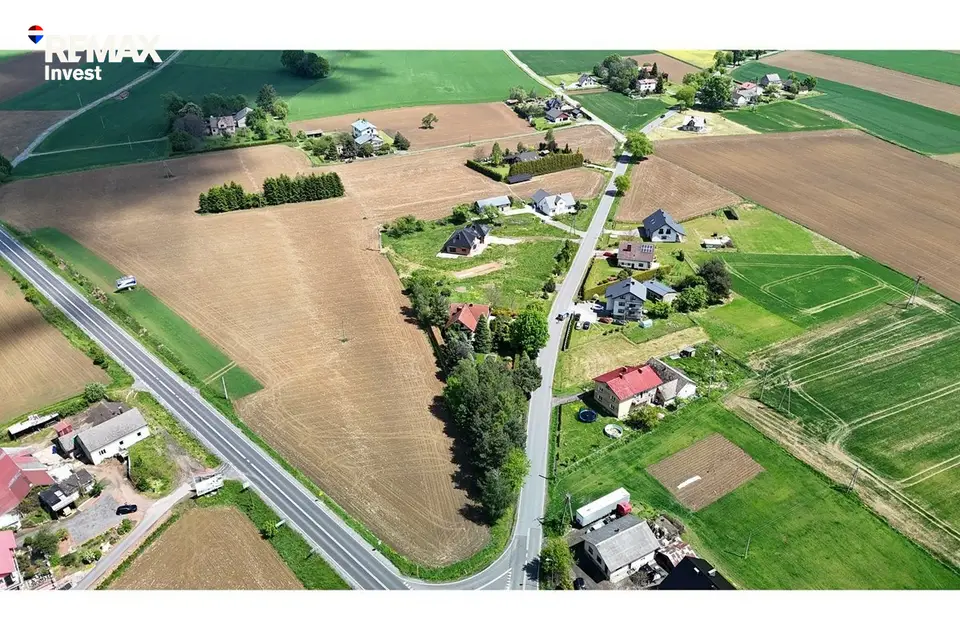 Zdjęcie 10