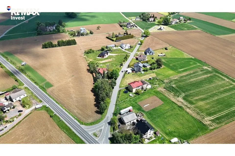 Zdjęcie 12