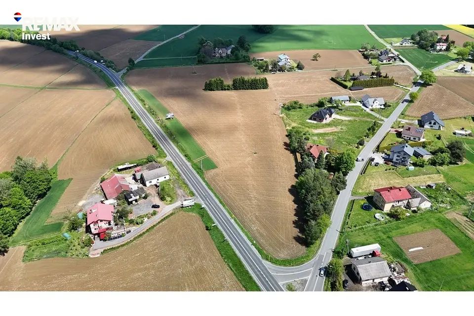 Zdjęcie 14