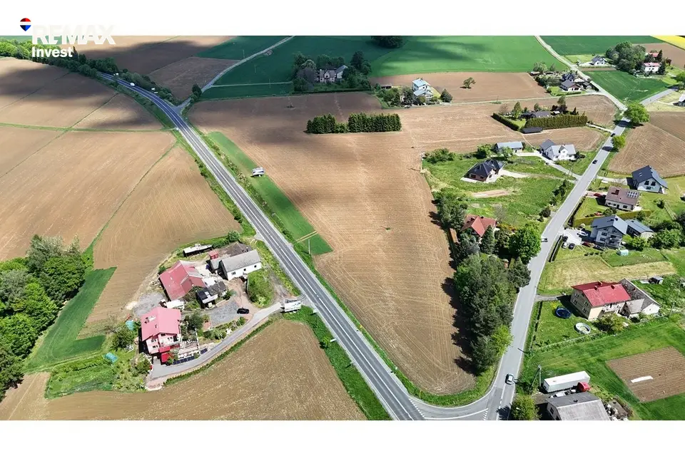 Zdjęcie 15