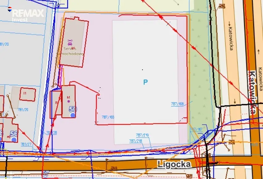 Zdjęcie 14