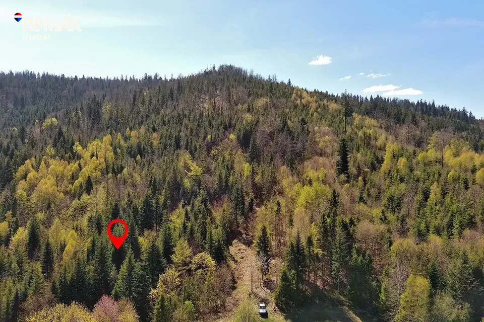 Zdjęcie 18