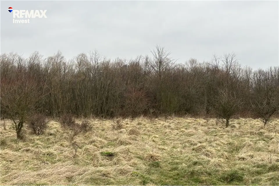Zdjęcie 6
