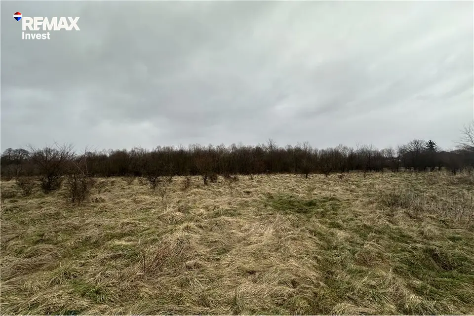 Zdjęcie 2