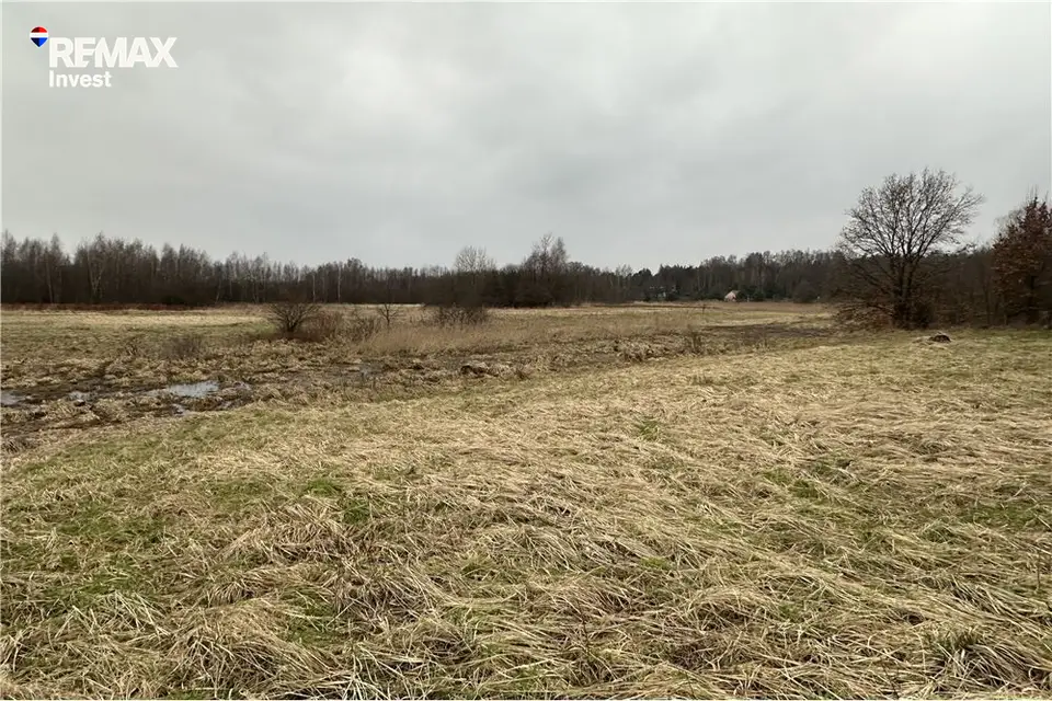 Zdjęcie 13
