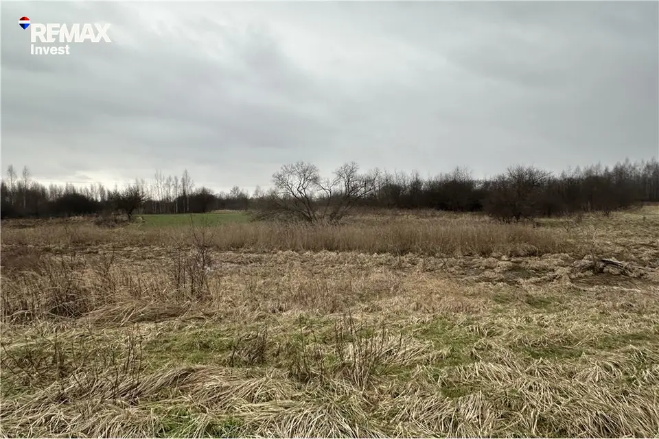 Zdjęcie 14