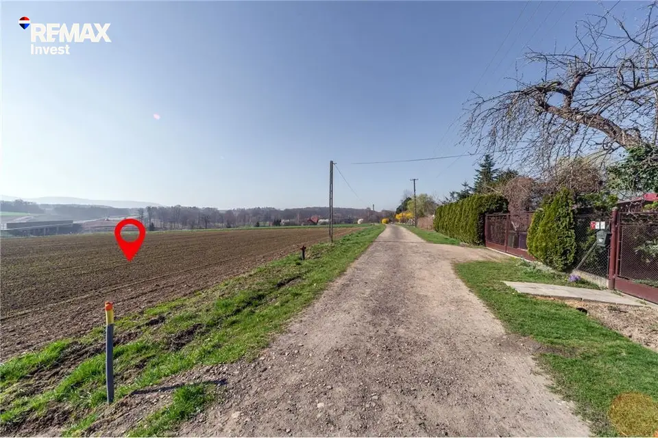 Zdjęcie 11