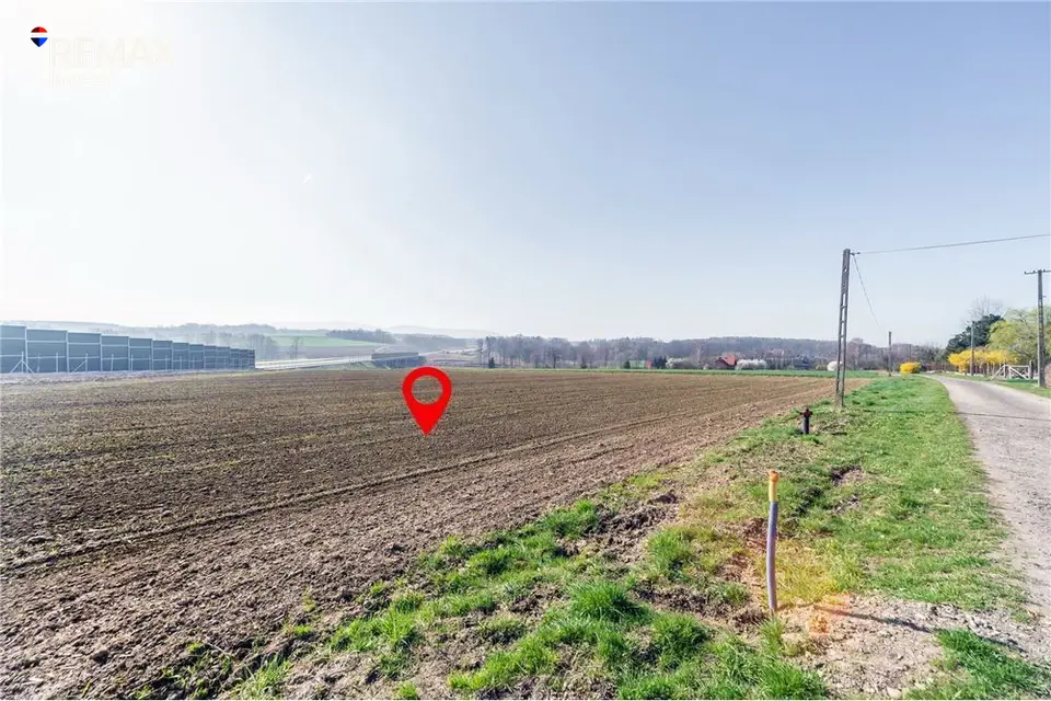 Zdjęcie 16