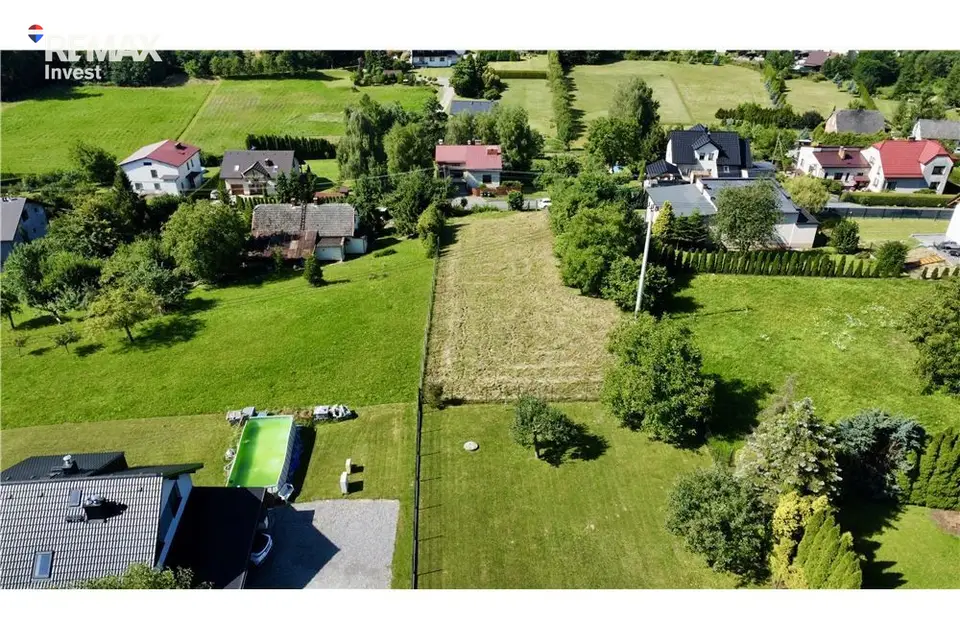 Zdjęcie 12