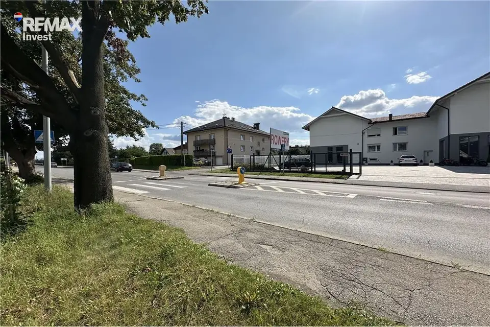 Zdjęcie 19