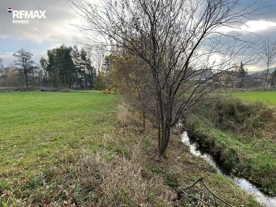 Zdjęcie 11