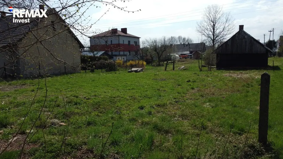 Zdjęcie 13