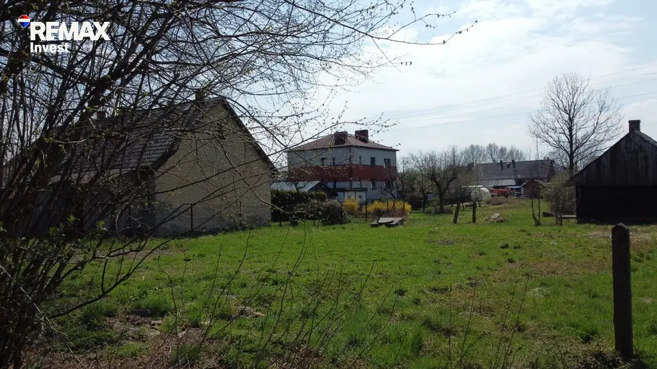 Zdjęcie 14