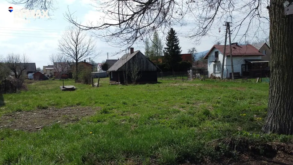 Zdjęcie 17