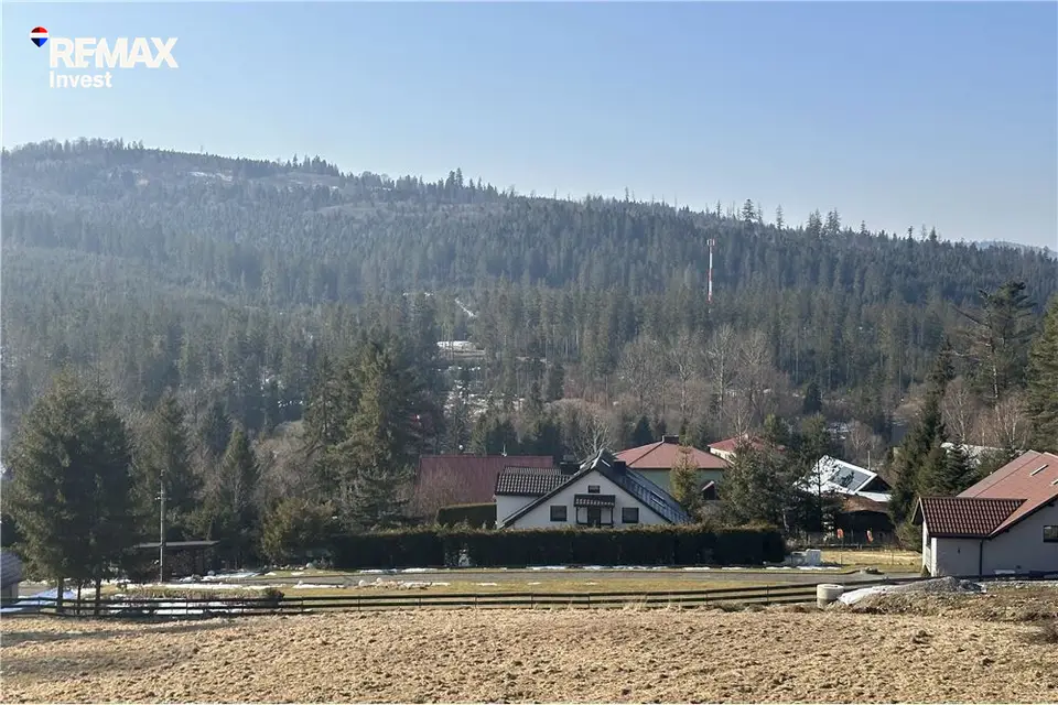 Zdjęcie 10