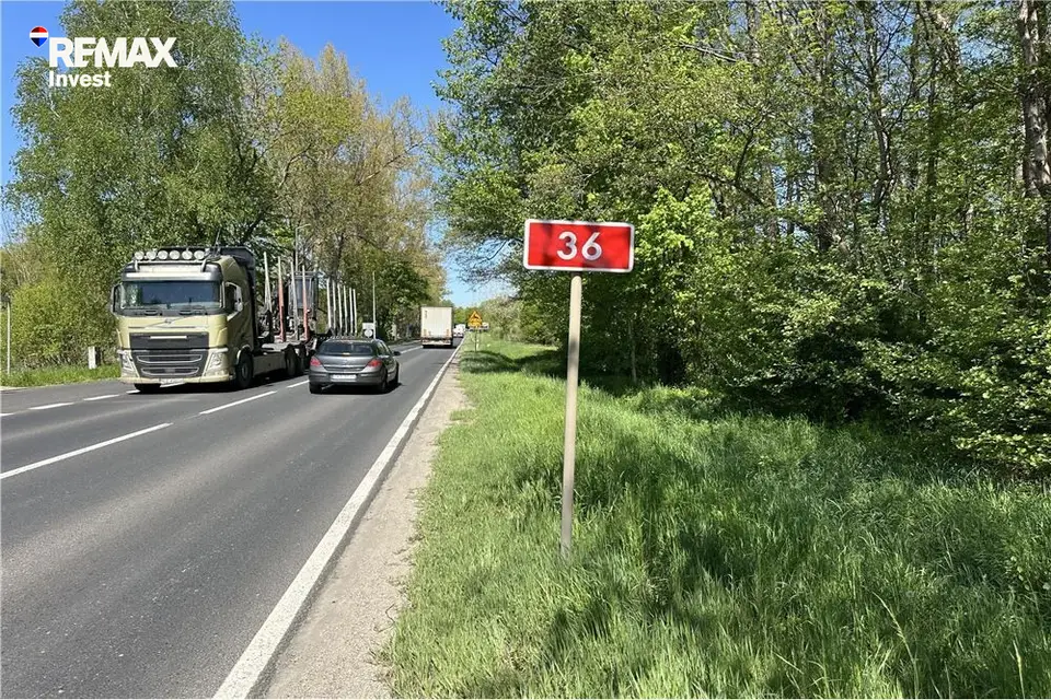 Zdjęcie 5