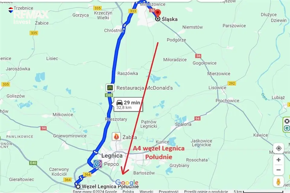 Zdjęcie 11