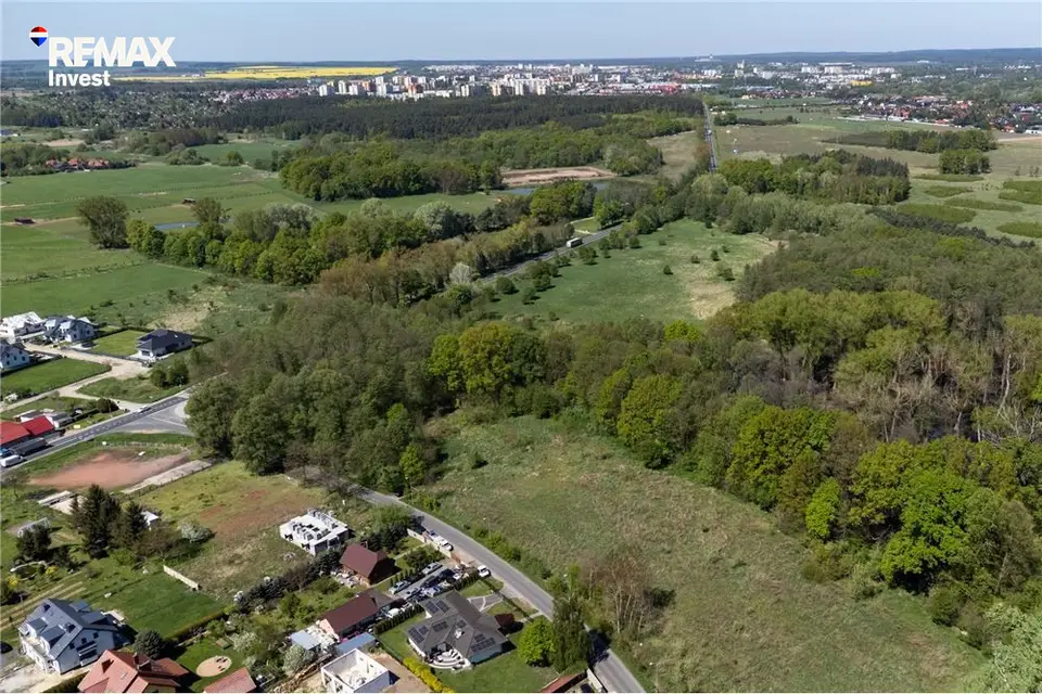 Zdjęcie 16