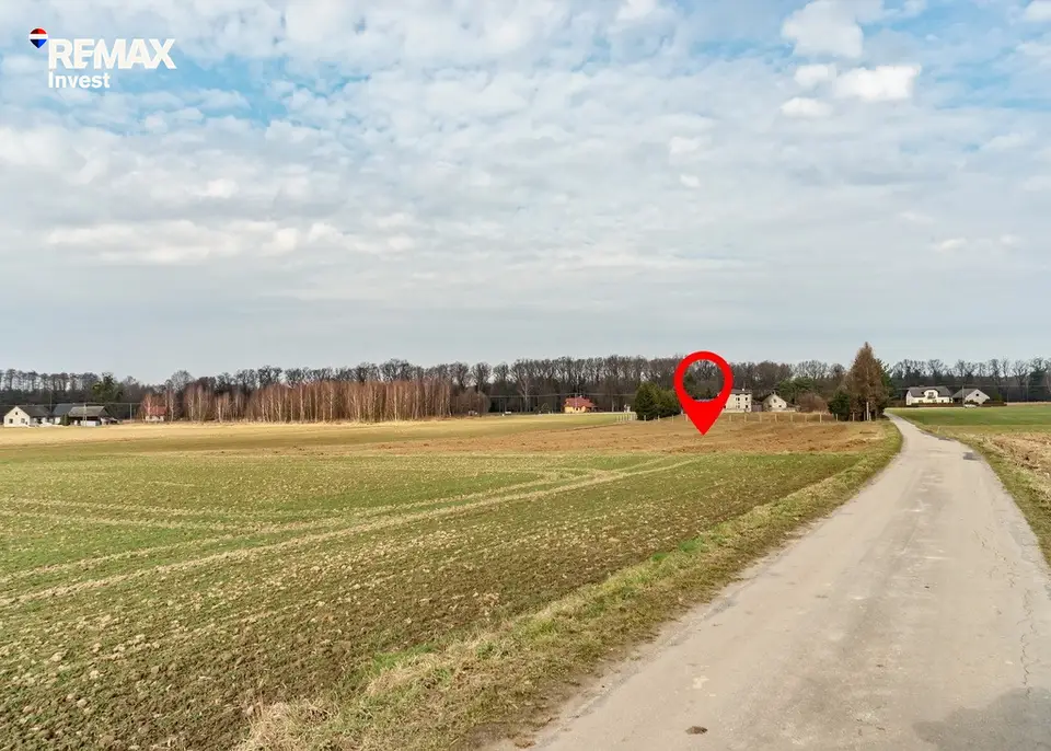 Zdjęcie 3