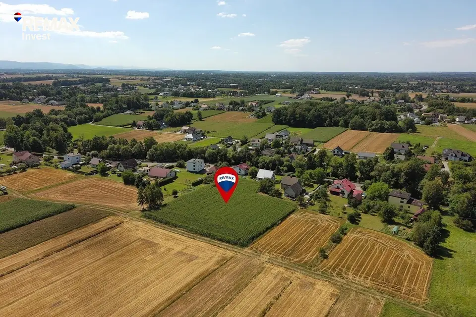 Zdjęcie 12